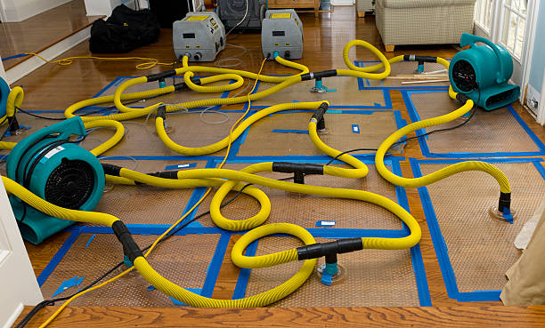 Professional Sewage Cleanup technician working in Slinger, WI